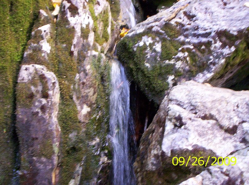 ALGONQUIN-IROQU OIS 007