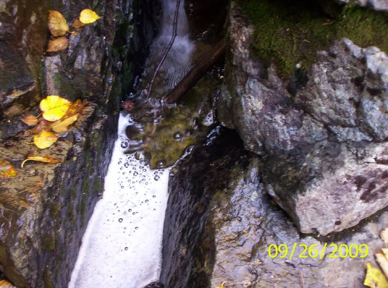 ALGONQUIN-IROQU OIS 008