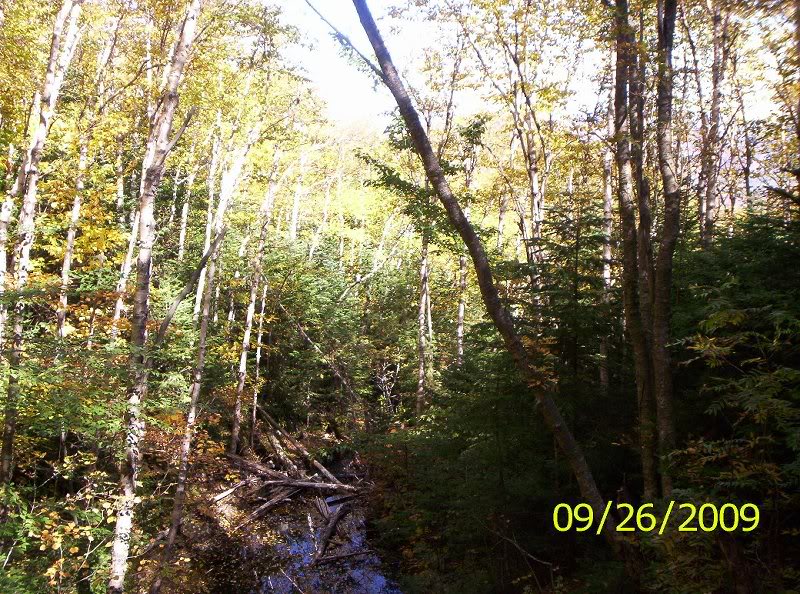 ALGONQUIN-IROQU OIS 009