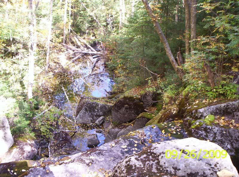 ALGONQUIN-IROQU OIS 011