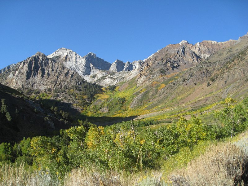 A little early for the aspens