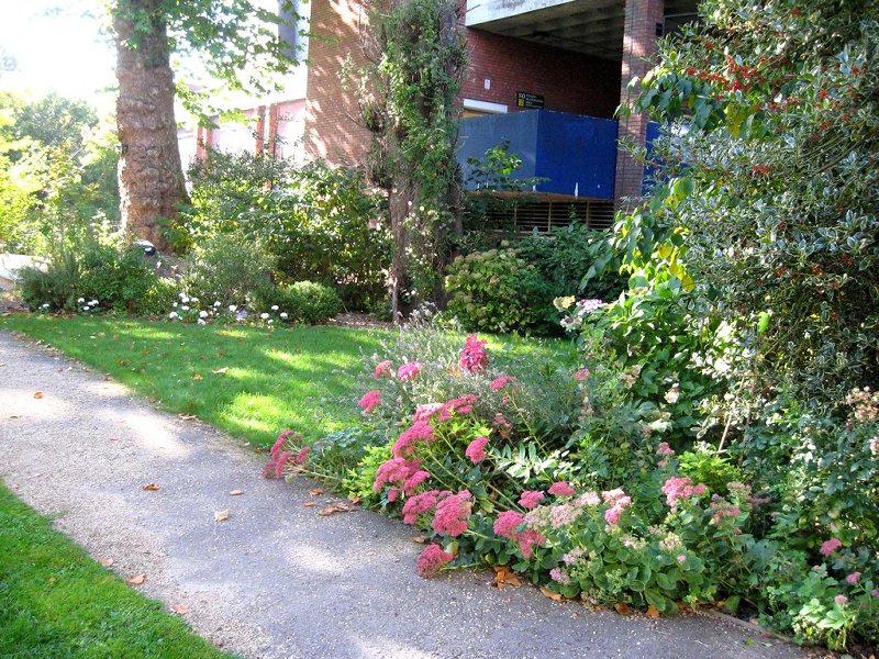Sensory Garden, Trowbridge Park 29.9.09 - 004