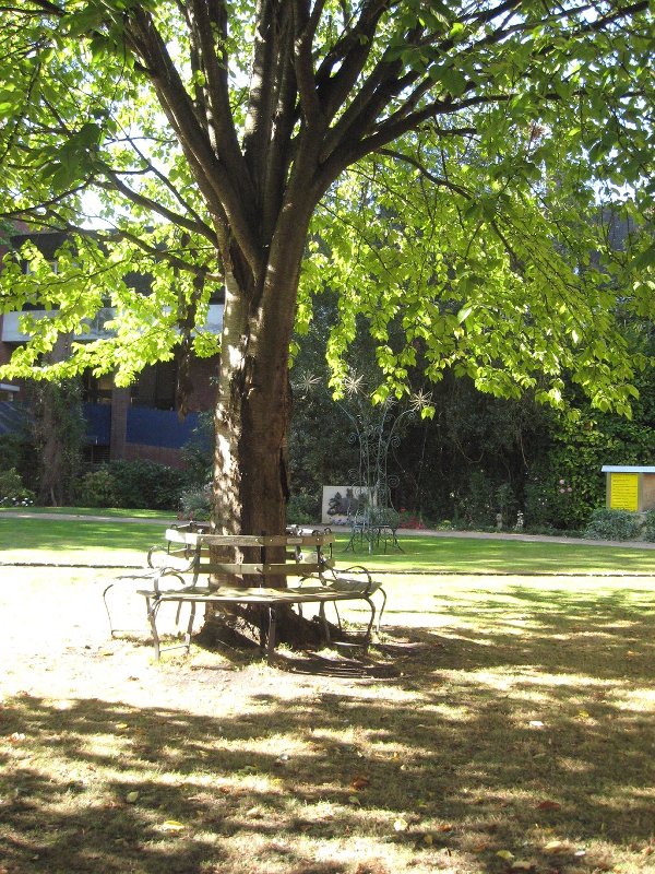 Sensory Garden, Trowbridge Park 29.9.09 - Tree Seat