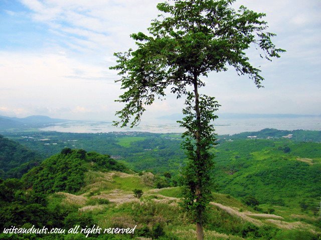 laguna de bay