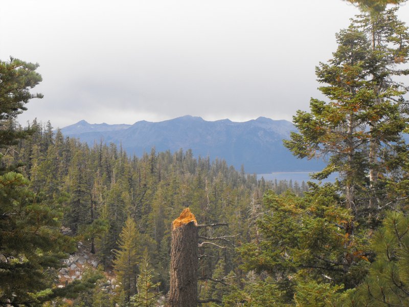 Lake Tahoe Nevada (6)