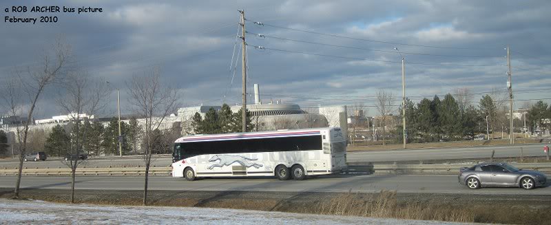 greyhound 02-12-10
