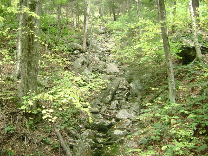 A dry stream bed that may lead to a possible smaller sl...