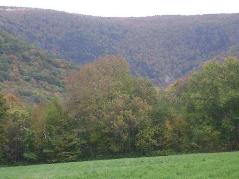 Close up of the slide from the Haley Farm