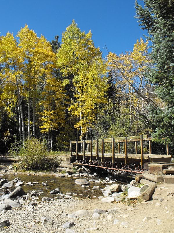 Bridge over the creek