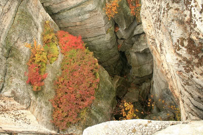 hanging garden on cliff wall 3 (looking down into the c...
