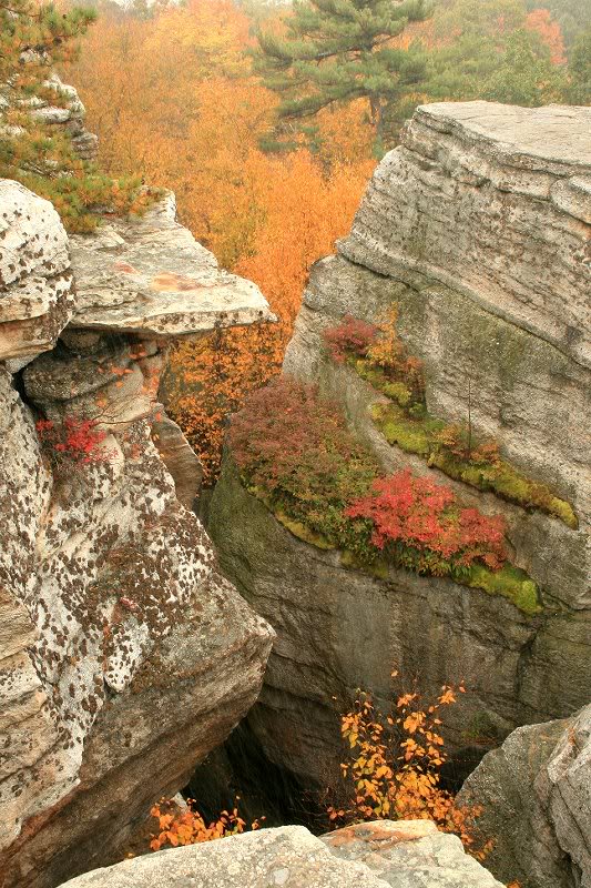 hanging garden on cliff wall 5