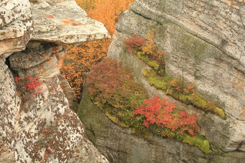 hanging garden on cliff wall 6