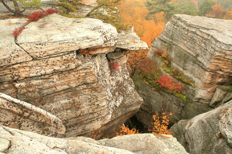 hanging garden on cliff wall 7