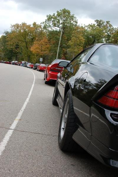 FBody Picnic Pic 002