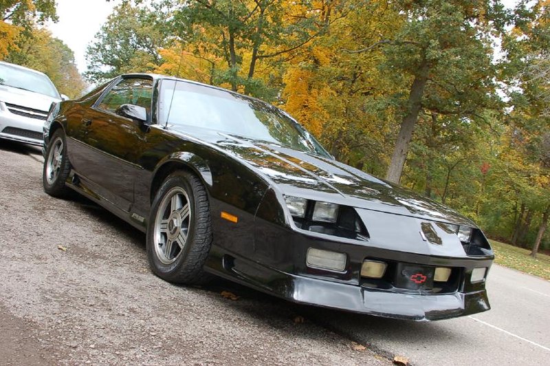 FBody Picnic Pic 005