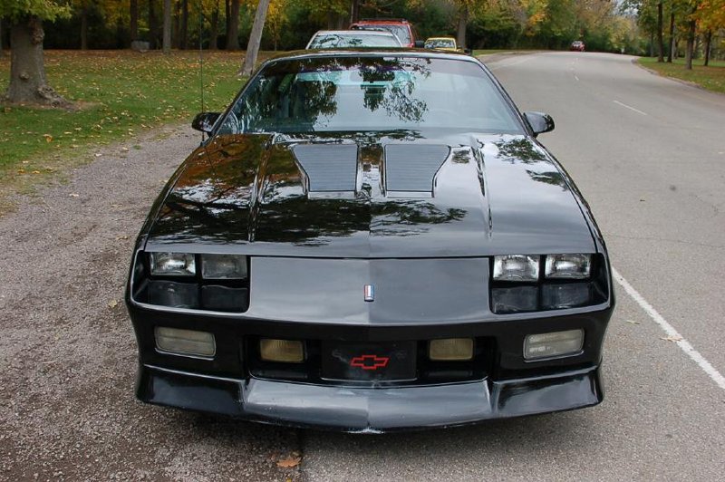 FBody Picnic Pic 007