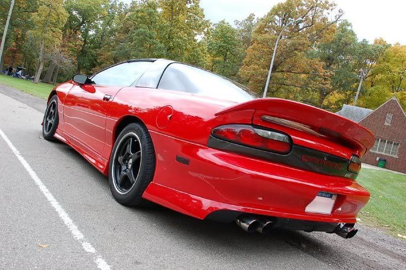 FBody Picnic Pic 010