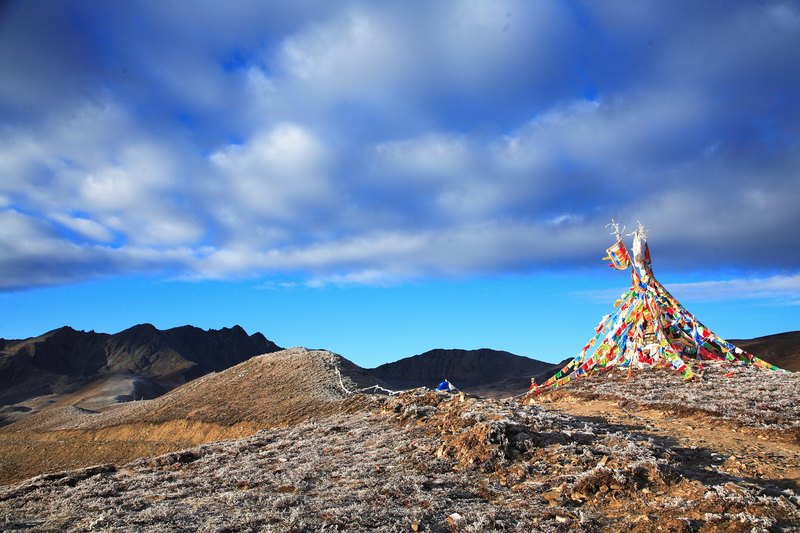 �l�����f������