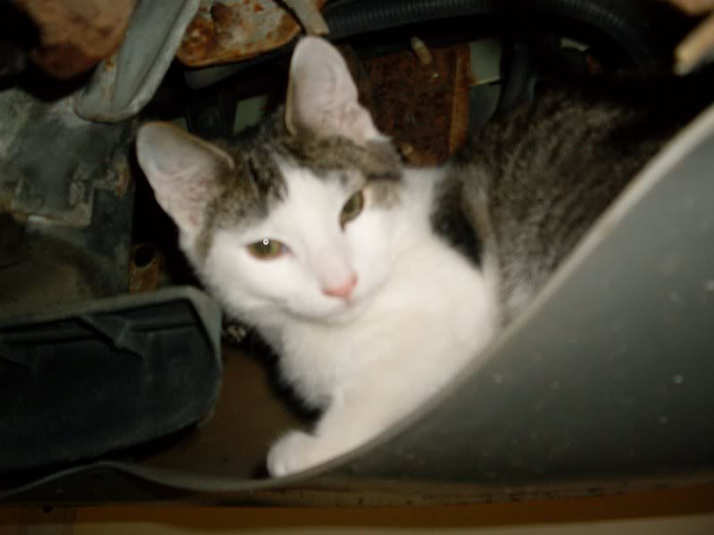 Imported Photos 00003