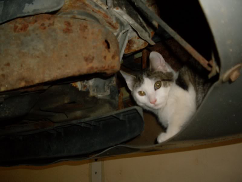 Imported Photos 00004