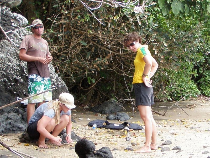 Looking at nature's small treasures on the beach