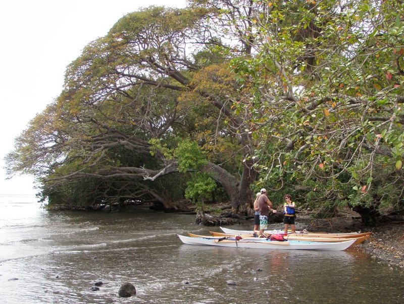 Rest stop on a shady little beach