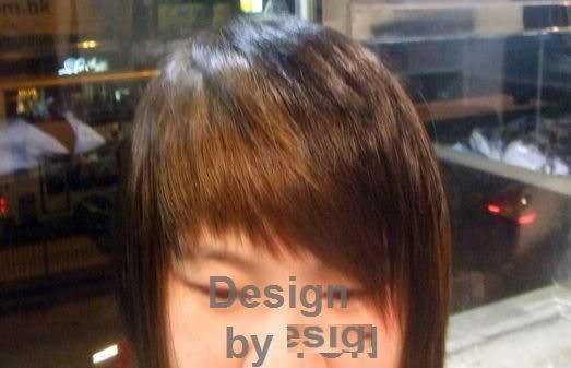 front_section_h ighlight_06