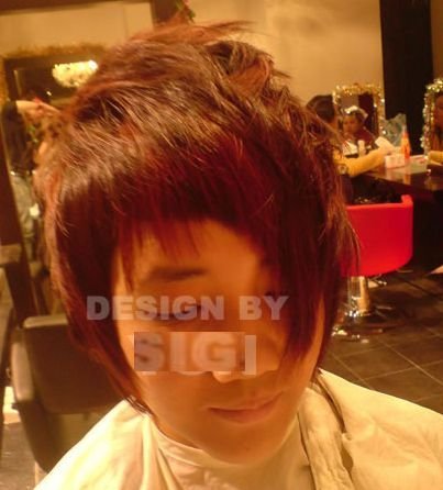 front_section_h ighlight_10