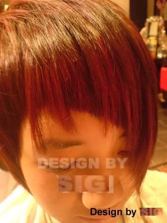 front_section_h ighlight_11