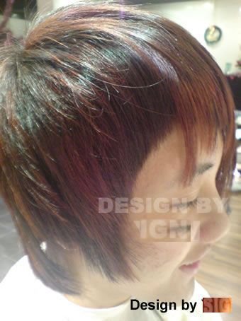 front_section_h ighlight_12