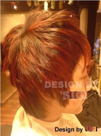 front_section_h ighlight_13