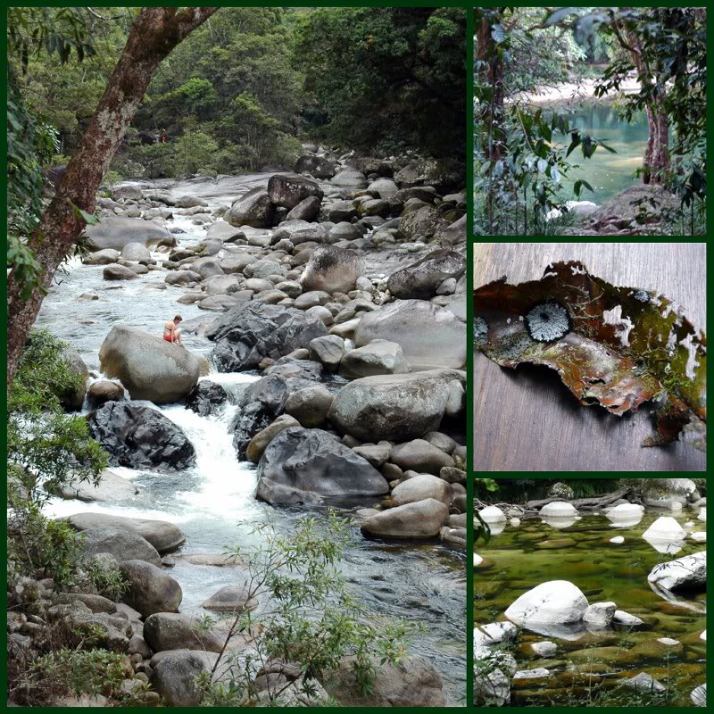 Picnik collage-Mossman Gorge