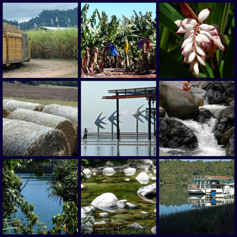 Picnik collage-QLD 4
