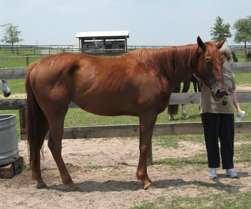 Sierra and Kathy at Rescue in June, first meeting!
