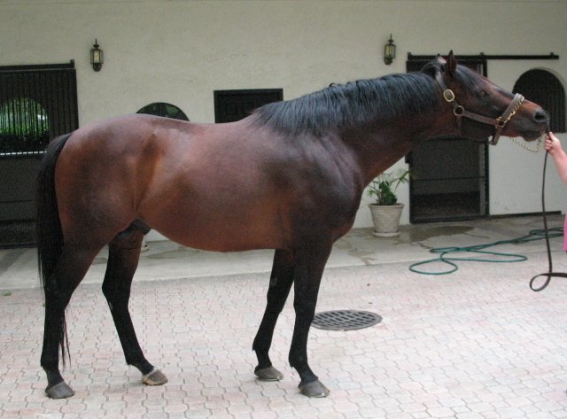 skip to the stone 1 email