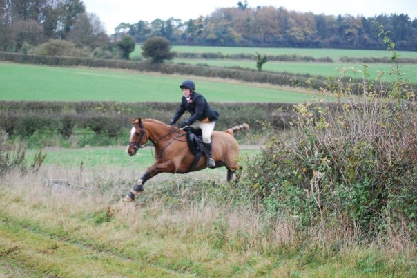 13838_169461213 191_599348191_2 814473_1397086_ n