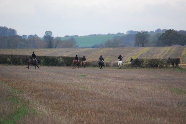 13838_169461238 191_599348191_2 814477_7104597_ n