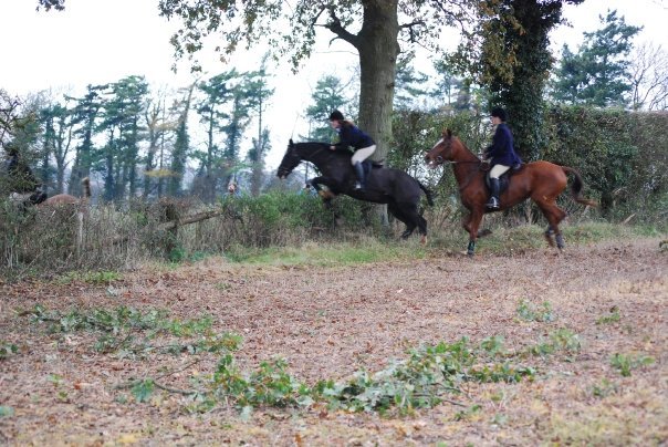 13838_169461273 191_599348191_2 814482_3741212_ n