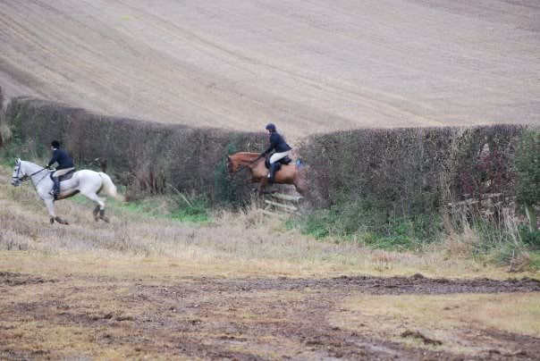 13838_169461278 191_599348191_2 814483_6101025_ n