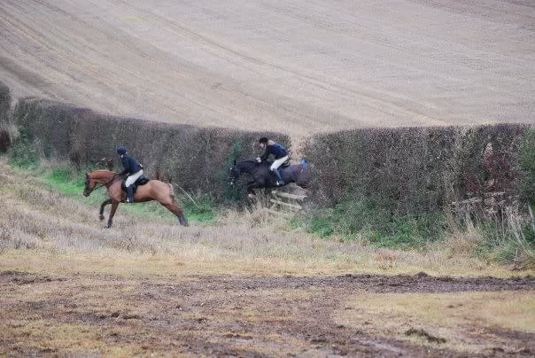 13838_169461288 191_599348191_2 814484_232160_n