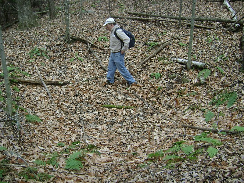 Another foundation on McLufkin