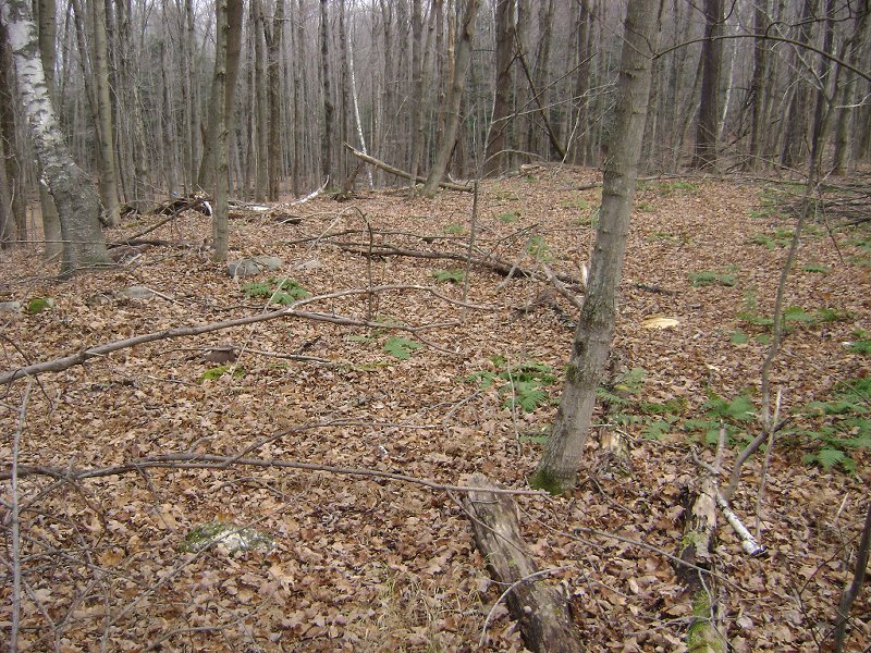 Large foundation next to Baggins cellar (Barn?)