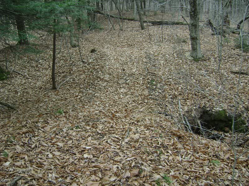 Stone culvert under wagon road across fro McLufkin hole...