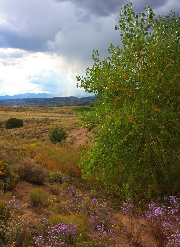Black Mesa Golf Course 9