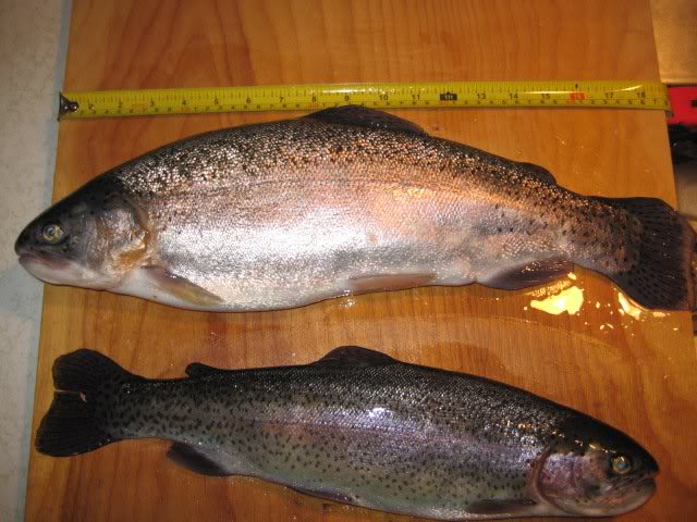 First Two on the Board