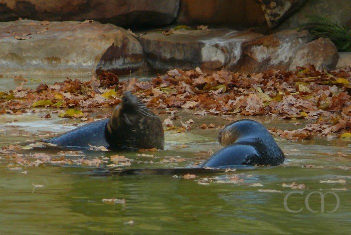 After coming back from visit to Restaurant and these t...