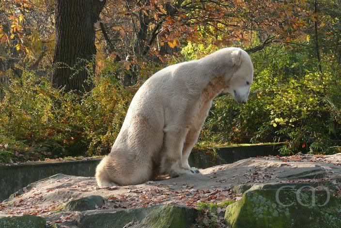 Just a bit of stretching from time to time.