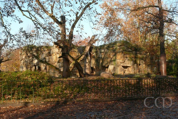 ...relax in the wonderful golden warm autumn sun.