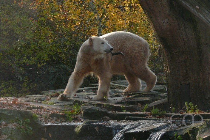 ...there is a lot of action here! :)