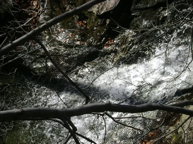 Pretty pool at the base of the falls